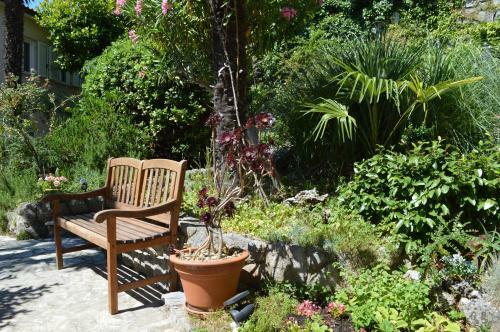 Beba's Garden Apartment