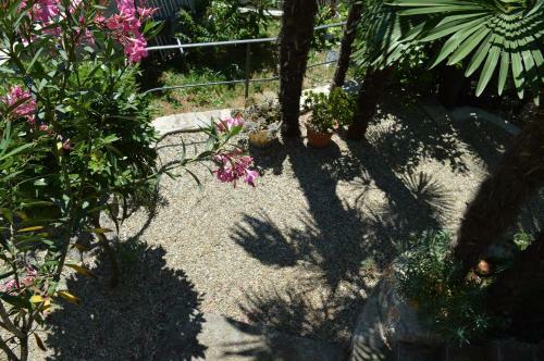 Beba's Garden Apartment