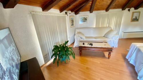 Apartamentos A1 Family Downtown