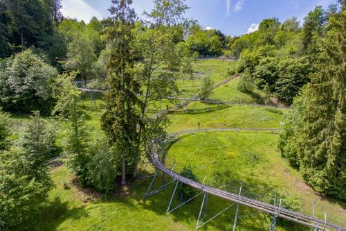 Eifel Ferienhaus Anne