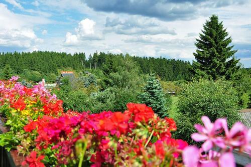 Apartamento Pension Haus Barbara Oberhof