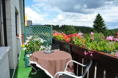 Apartamento Pension Haus Barbara Oberhof