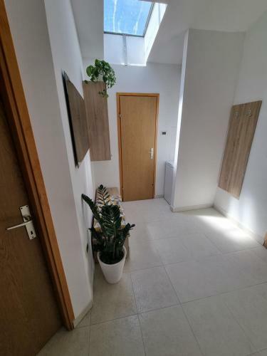City Centar Apartment