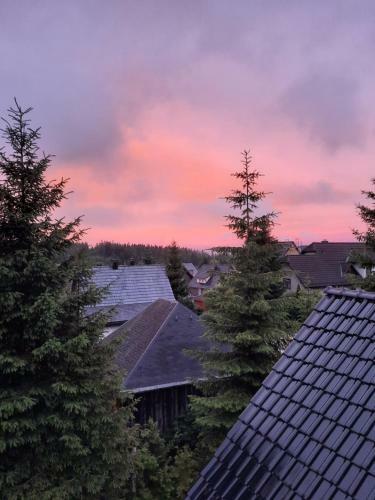 Apartamento Ferienwohnung Grunwald