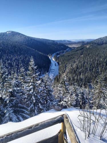 Apartamento Ferienwohnung Grunwald