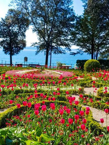Apartment With Terrace - Gaia - Opatija - Center