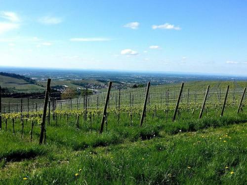 Apartamento Ferienhof Vordere Alm