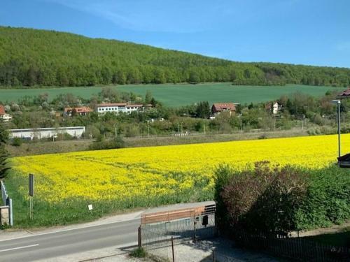Apartamento Ferienwohnung Werratal