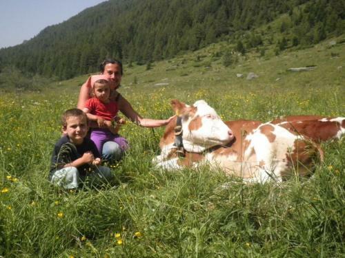 Agroturismo Unterhof