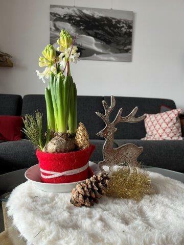 Apartamento Ferienwohnung Alpenherz