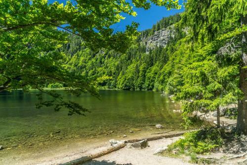 Apartamento Fewo Turmblick