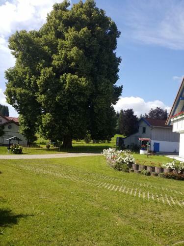 Apartamentos Ferienwohnung Hane