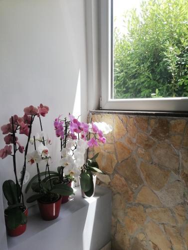 Apartman Dan?i