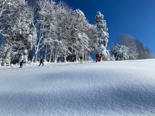 Apartamentos Ferienwohnung Hochgratgl�ck