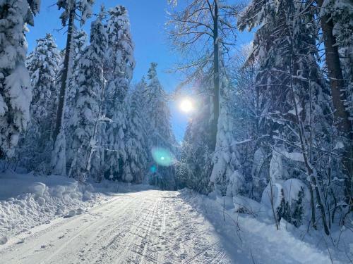 Apartamentos Ferienwohnung Hochgratgl�ck