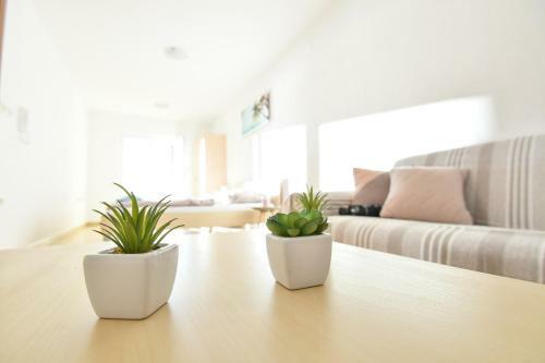 Apartment Lavanda