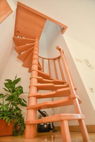 Apartment Lavanda