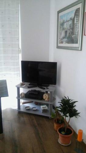 Hostal Apartmani Branko Vojnovic
