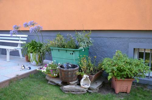 Apartamento Ferienwohnungen Chris Stephan