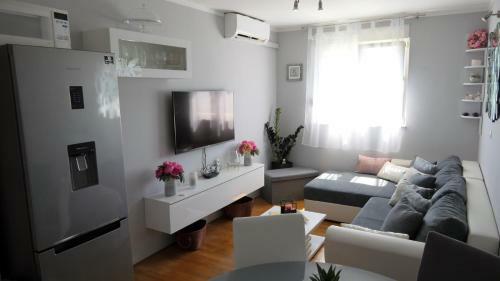 Apartman *sanja* Omi?
