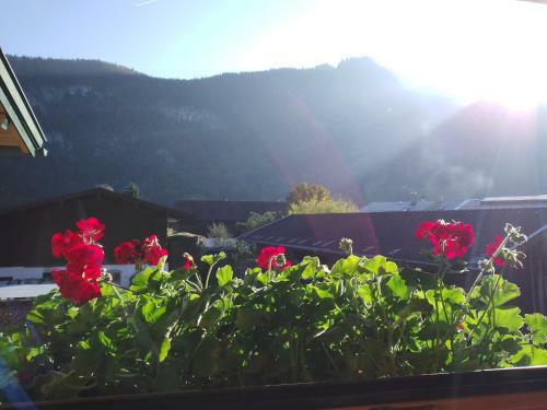 Apartamento Ferienwohnung Bergzeit