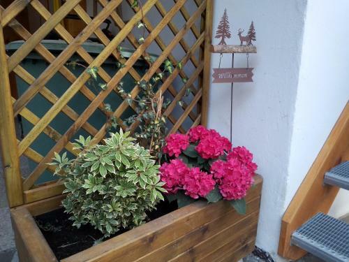 Apartamento Ferienwohnung Bergzeit