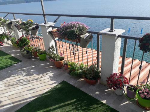 Apartamentos Leonarda