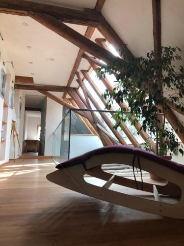 Apartamento Ferienwohnung Am Schl�ssle