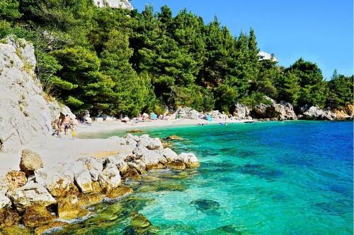 Hotel Beach Resort Mala Luka