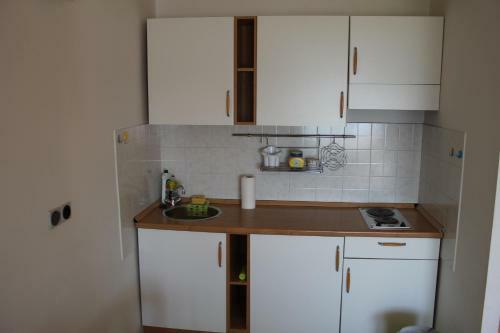 Omi? Apartmani Mouse
