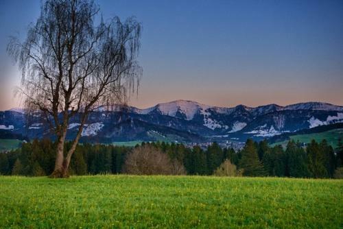 Apartamento Maximia Oberstaufen Mit O-plus