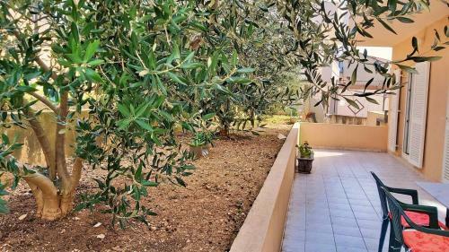 Apartmani Mandalinic