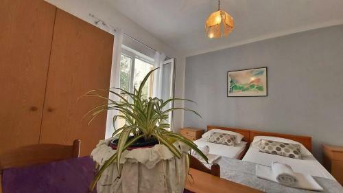 Apartmani Mandalinic