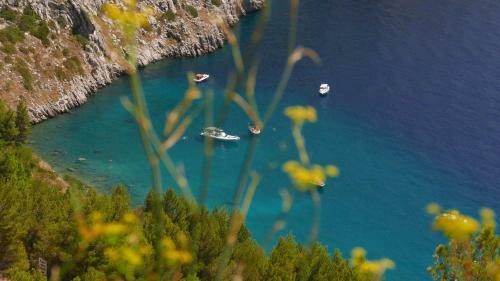 City Apartment Omis