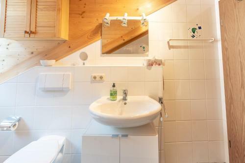 Apartamento Bergpanorama