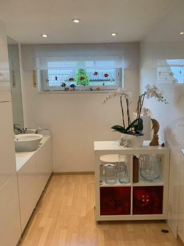 Sch�ne Zimmer Im Zentrum Leben
