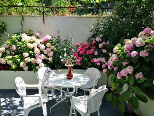 Apartman Jole