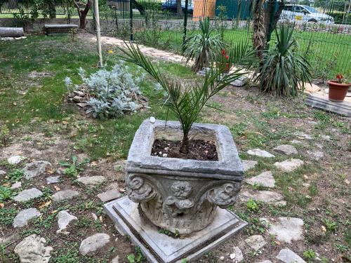 Apartments Jugo I Bura