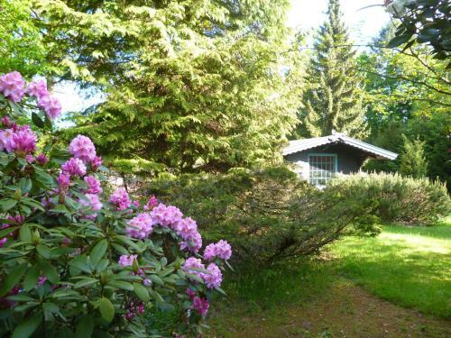 Apartamento Tom Olen Stien - Heidjer Ferien