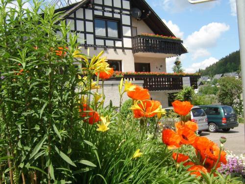Apartamento Haus Cristallo