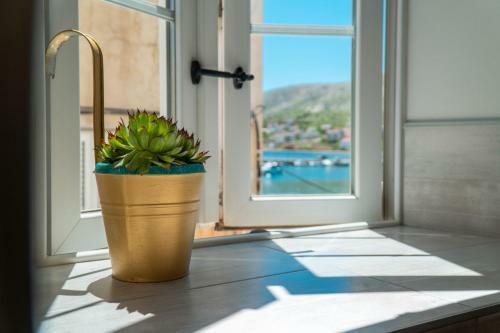 Apartamento Premium Zec