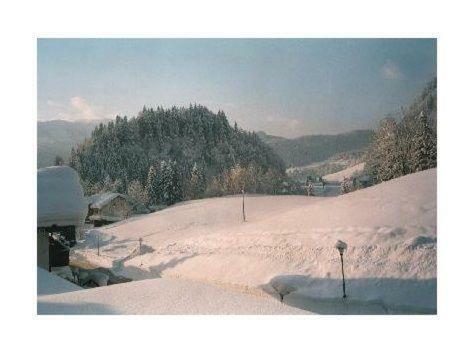 Apartamento Sport-alpin-wohnung-9