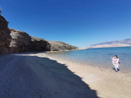 Apartman Pavic