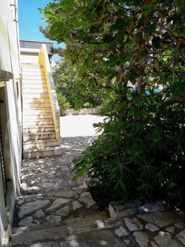 Apartments With A Parking Space Pag - 18345