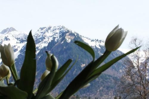 Hostal G�stehaus Gaymann