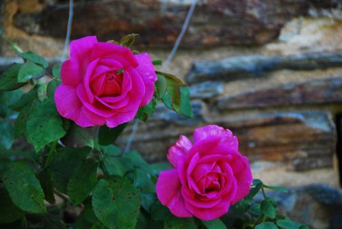 Bed & Breakfast Tillac Chambres D'h�tes
