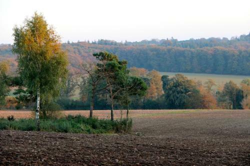 Bed & Breakfast Tillac Chambres D'h�tes