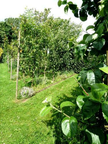 Bed & Breakfast La Parenth�se Normande