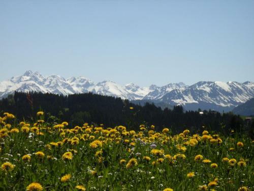 Apartamento Bergzauber