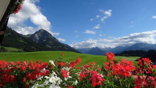 Apartamento Ferienwohnungen Rotzler